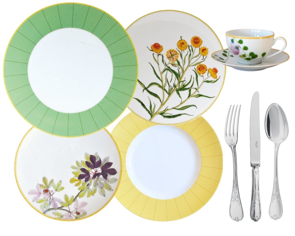 Bernardaud Jardin Indien china collection