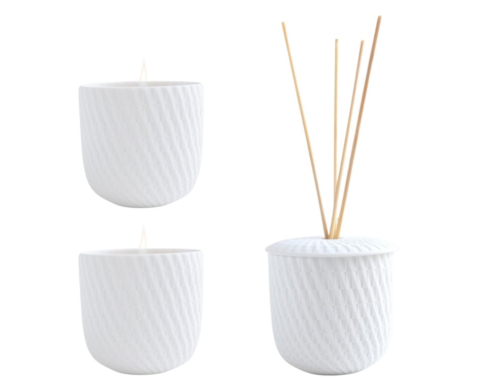 Bernardaud Home Fragnarce collection