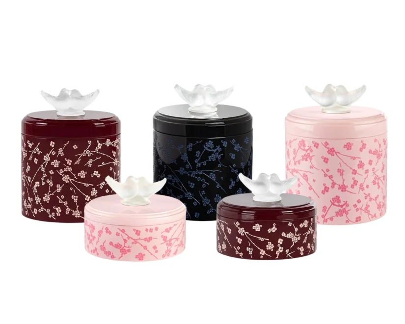 Fleurs de cerisier boxes