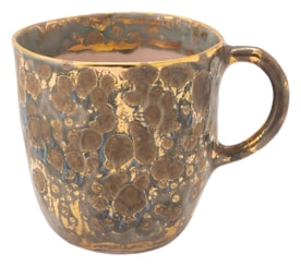 Coralla Maiuri, Michelangelo, Coralla's mug