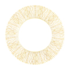 Robert Haviland & C. Parlon, Fil d'or, Dinner plate