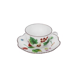 Pinto, Feuillages, Tea cup and saucer
