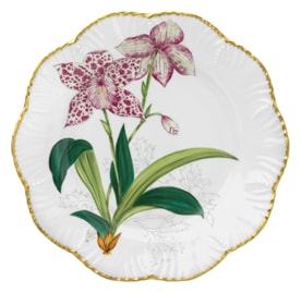 Pinto, Histoire d’Orchidées, Dinner plate, zygocolax rubida