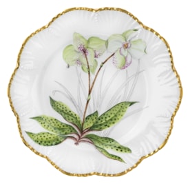 Pinto, Histoire d’Orchidées, Dinner plate, cypripedium flavum