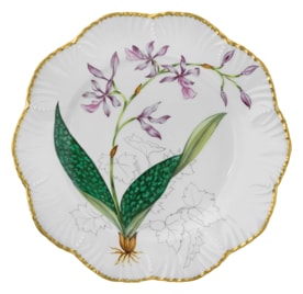Pinto, Histoire d’Orchidées, Dinner plate, encyclia cordigera