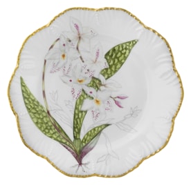 Pinto, Histoire d’Orchidées, Dinner plate, stanhopea tigrina