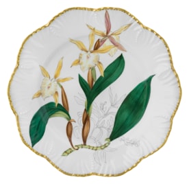 Pinto, Histoire d’Orchidées, Dinner plate, rhyncholaelia glauca