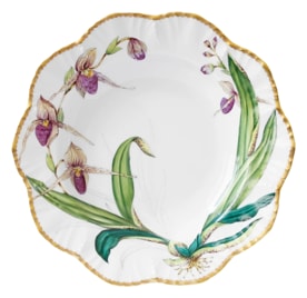 Pinto, Histoire d’Orchidées, Soup plate