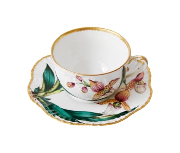 Pinto, Histoire d’Orchidées, Tea cup and saucer