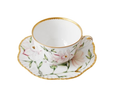 Pinto, Magnolia, Tea cup and saucer