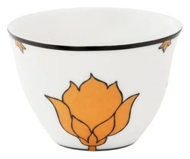 Pinto, Jaipur, Kawa, orange