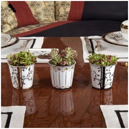 Pinto, Vieux Kyoto, Tumbler set of 3