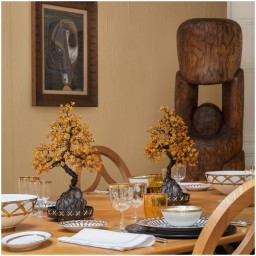 Pinto, Vieux Kyoto, Bonsai katsura