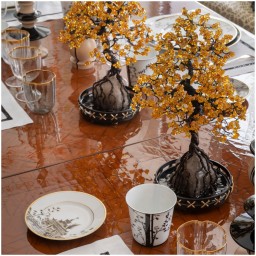 Pinto, Vieux Kyoto, Bonsai katsura