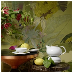 Fürstenberg, Fluen shifting colors, Lid