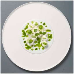Fürstenberg, Blanc white, Dinner plate with raised center rim