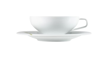 Fürstenberg, Fluen luminea, Tea cup and saucer