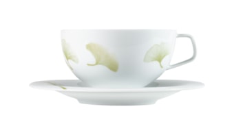 Fürstenberg, Fluen luminea, Cappuccino cup and saucer