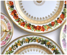 Bernardaud, Botanique, Dinner plate, nasturium