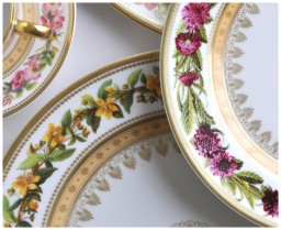 Bernardaud, Botanique, Salad plate, scabiosa