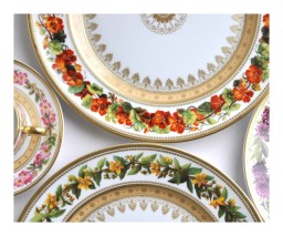 Bernardaud, Botanique, Tea cup and saucer