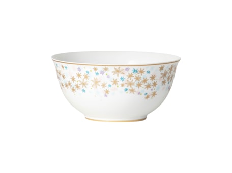 Bernardaud, Féerie, Noodle bowl