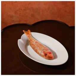 Hering Berlin, Evolution, Oval plate