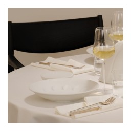 Hering Berlin, Evolution, Coupe plate, small