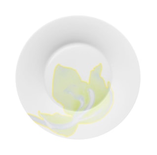 Hering Berlin, Palmhouse x sage, Bread and butter plate