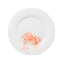 Hering Berlin, Palmhouse x coral, Dinner plate