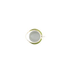 Haviland, Vieux Paris vert, Creamer