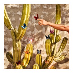 Baccarat, Lucky Butterflies, Butterfly sculpture, red