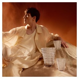 Baccarat, Eye vases, Oval vase small, clear