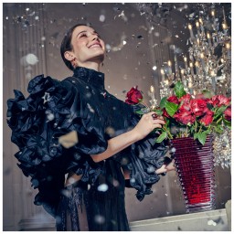 Baccarat, Eye vases, Rectangular vase large, red