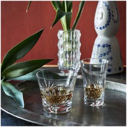Baccarat, Everyday bar collection, Lutetia tumbler, set of 2