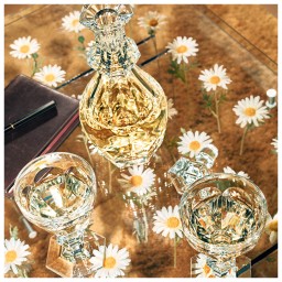 Baccarat, Harcourt 1841, Glass, large