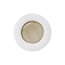 Hering Berlin, Silent brass, Dinner plate, gold