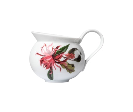 Sieger by Fürstenberg, Paraíso, Creamer