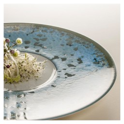 Jaune de Chrome, Nymphéa, Celebes vase