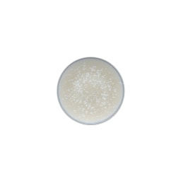 Jaune de Chrome, Song Perle, Bread and butter plate, agora