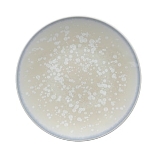 Jaune de Chrome, Song Perle, Bread and butter plate, agora