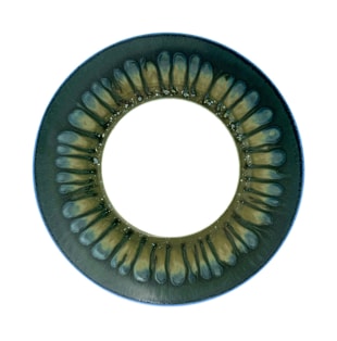 Jaune de Chrome, Cyclone, Dessert plate