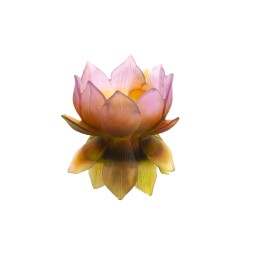 Daum, Jardin de Lotus, Medium vase, limited edition