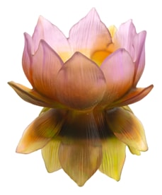 Daum, Jardin de Lotus, Medium vase, limited edition