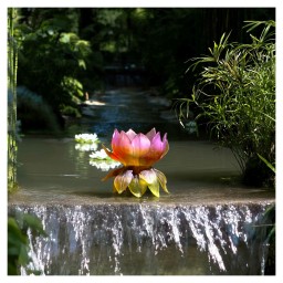 Daum, Jardin de Lotus, Medium vase, limited edition