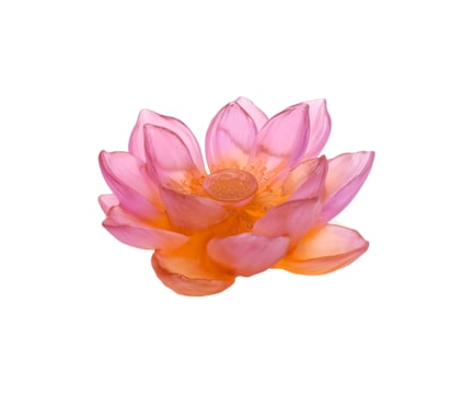 Daum, Jardin de Lotus, Decorative flower, amber pink
