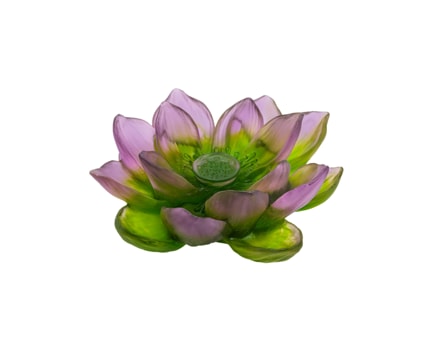 Daum, Jardin de Lotus, Decorative flower, green pink
