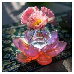 Daum, Jardin de Lotus, Soliflore, amber pink