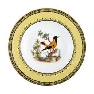 Bernardaud, Jardin du Roi, Soup plate with rim