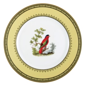 Bernardaud, Jardin du Roi, Dinner plate, lory of the east indies